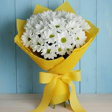 Букет цветов из:  Хризантемы в Кадникове