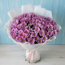 Букет цветов из:  Хризантемы в Кадникове
