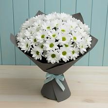 Букет цветов из:  Хризантемы в Кадникове