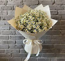 Букет цветов из:  Ромашки #REPLACE_PRED# Кадникове
