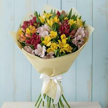 Букет цветов из:  Альстромерии в Кадникове